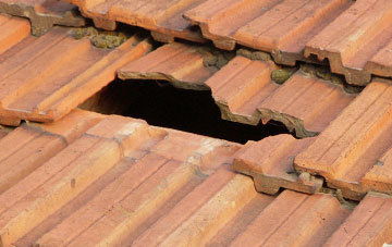 roof repair Alvington